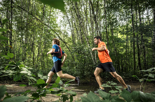 Ultra Running Coach