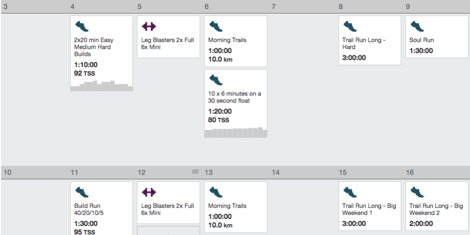 Online Ultramarathon Coaching Plan Overview