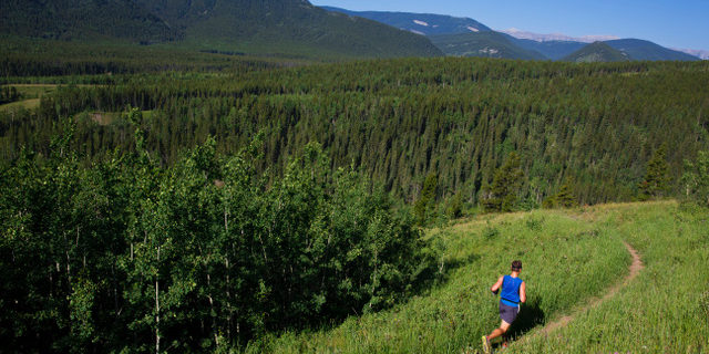 Are you a fitter ultra runner?