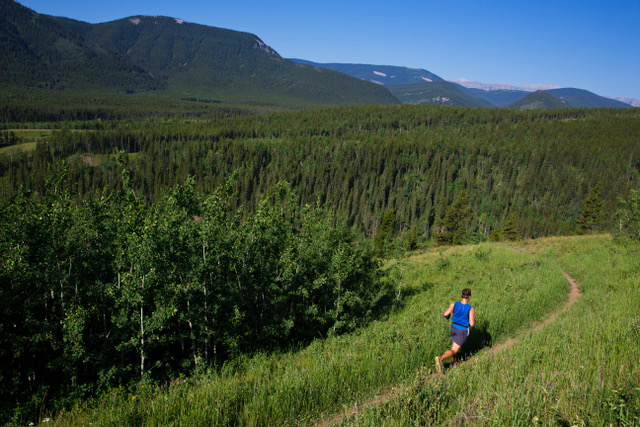 Are you a fitter ultra runner? Are you a fitter ultra runner?